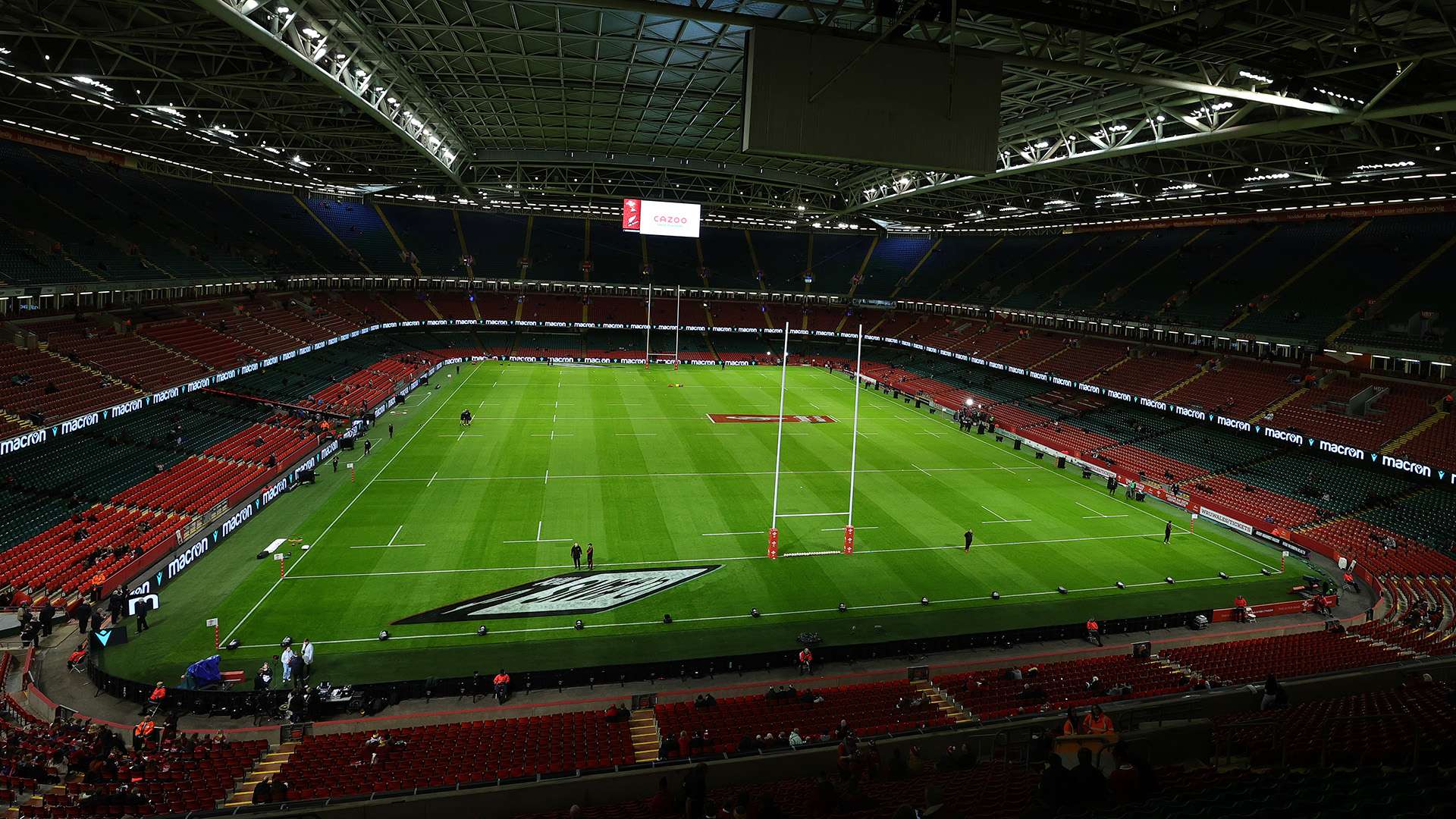 体和球迷关 体和球迷关